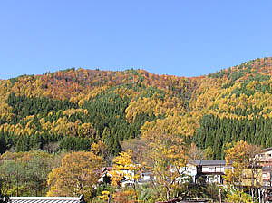 西側の山の紅葉
